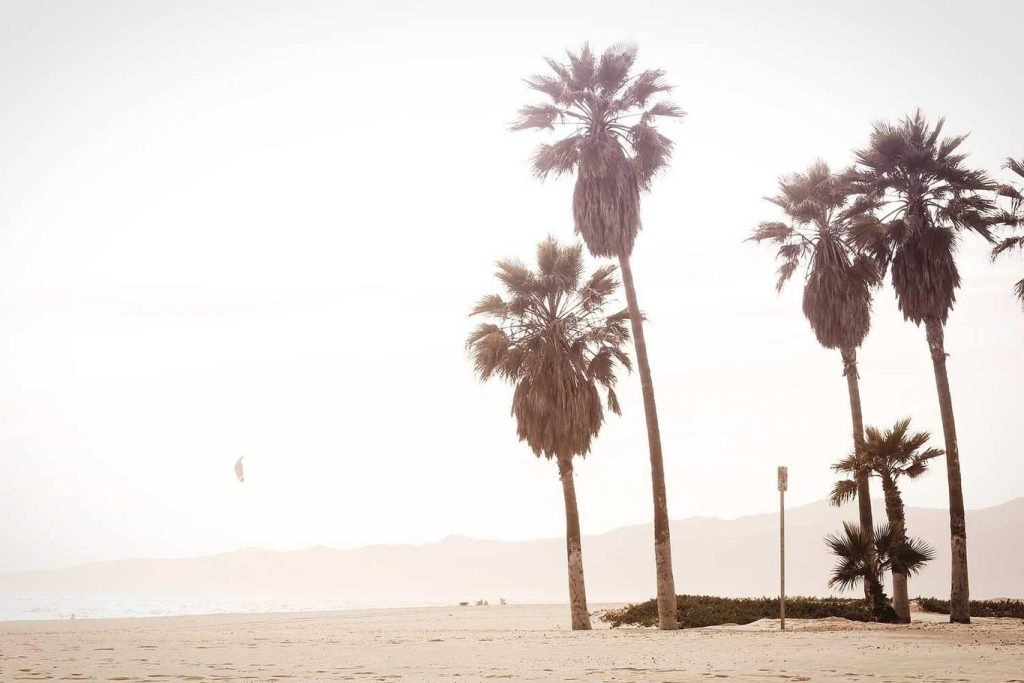 Architecto sunt unde dignissimos et aut ut